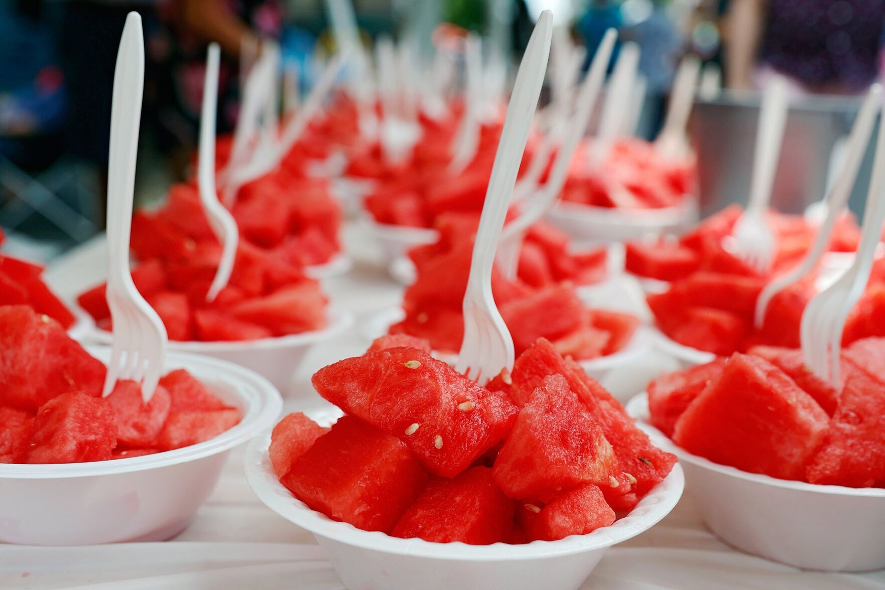 200220815_MET_WATERMELLON_ER_02